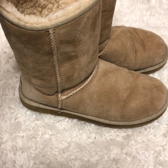 Uggs! - Picture 2 of 5